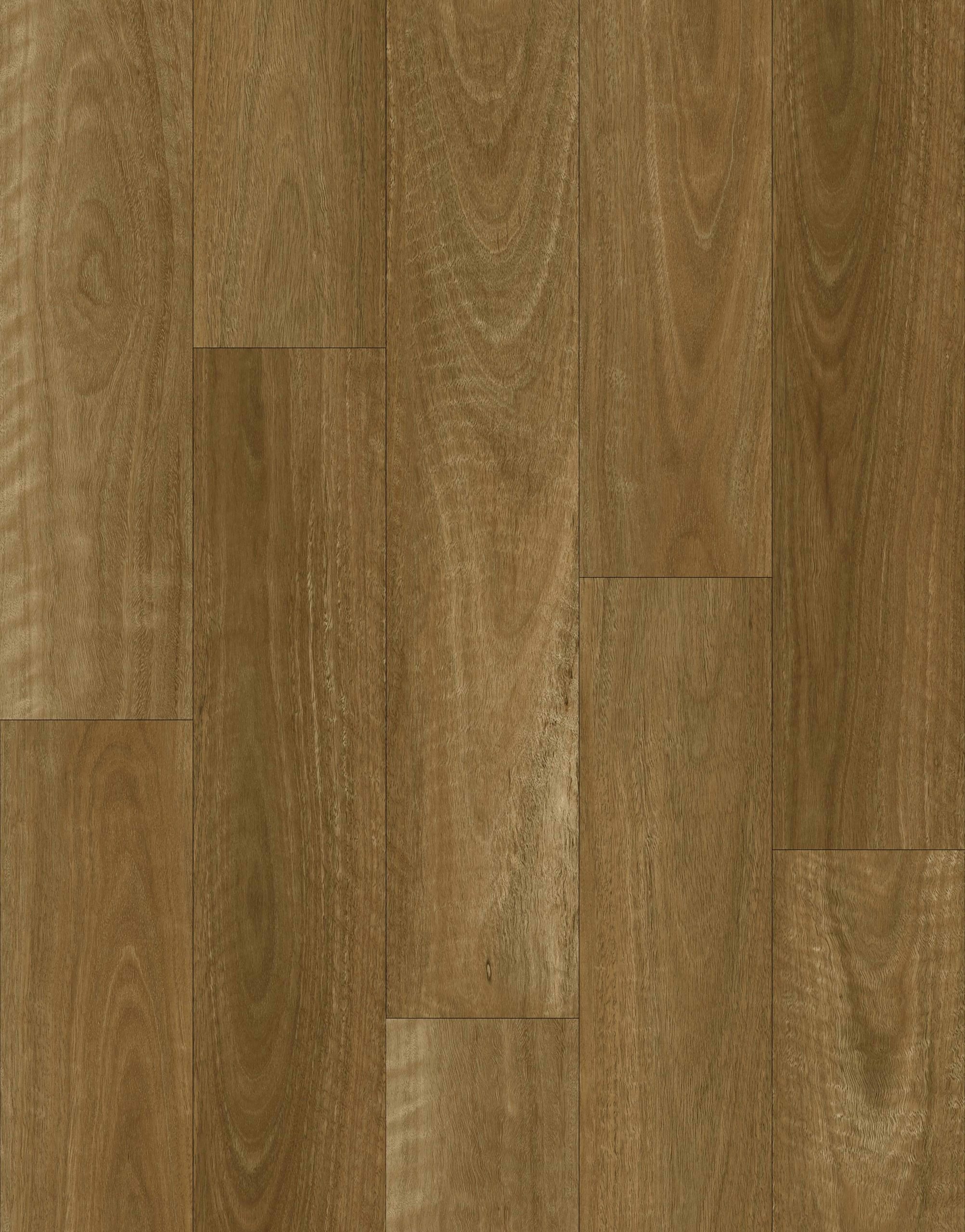 Mont Pierre Hybrid Signature Collection Native Spotted Gum